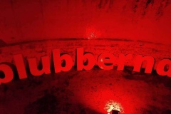 Foto © Berliner Bärenfreunde