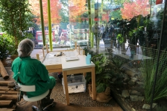 241015 Zoo Berlin Pandazwillinge