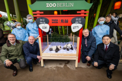 Pandataufe  © Zoo Berlin
