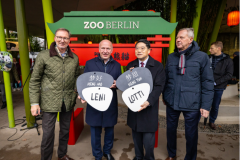 Pandataufe  © Zoo Berlin