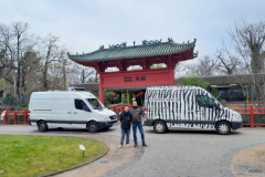 Abfahrt Pandas © 2023 Zoo Berlin