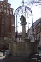 © Berliner Bärenfreunde e.V.