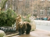1999 Schnute Geburtstag, Berliner Bärenzwinger