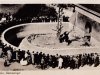 1952  Besucher am Berliner Bärenzwinger - AK -Sammlung Privat Christa Junge