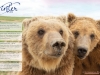 Atze and Bärolina Story Winter 2018 © Wild Animal Sanctuary
