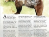 Atze and Bärolina Story Winter 2018 © Wild Animal Sanctuary
