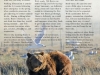 Atze and Bärolina Story Winter 2018 © Wild Animal Sanctuary