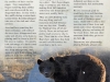 Atze and Bärolina Story Winter 2018 © Wild Animal Sanctuary