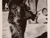 1953 Nante © AK Sammlung privat Christa Junge