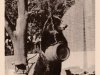 1953 Nante © AK Sammlung privat Christa Junge