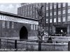 1950 Berliner Bärenzwinger © AK Sammlung privat Christa Junge