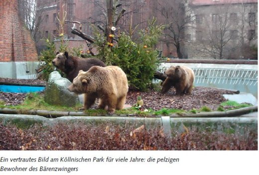 Maxi, Tilo und Schnute