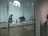 Blick in die Ausstellung Keramik-Museum Berlin © Berliner Bärenfreunde e.V.