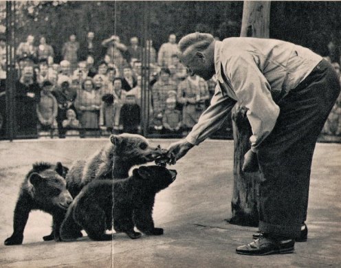 Bilder aus dem Benkindergarten im Berliner Tierpark im April Foto  Budich