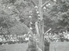 Nante und Jette suchen Futter auf dem Baum Foto © Privat