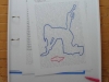 Ausstellung Berliner Bärenwinger © Berliner Bärenfreunde e.V.