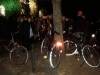 BEAR WITNESS - Berliner Bärenzwinger © Christa Junge