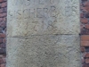 Foto © Berliner Bärenfreunde e.V.