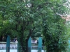 Foto © Berliner Bärenfreunde e.V.