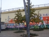 Foto © Berliner Bärenfreunde e.V.