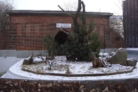 Berliner Bärenzwinger im Schnee © Berliner Bärenfreunde e.V.