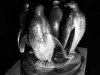 18 Pinguine © Alexandra Leykauf
