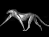 29 Gepard © Alexandra Leykauf