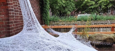 Cat‘s Cradle © Christa Junge