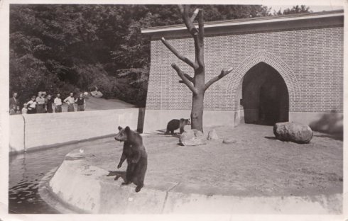 1939 Berlin. Benzwinger im Klnischen Park, AK - Sammlung Junge