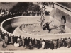 1952 Berlin. Bärenzwinger Nante und Jette, AK - Sammlung Junge