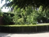 © Berliner Bärenfreunde