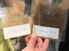 Die Kinder können die einzelnen Haare aus dem Fell von Maxi und Schnute fühlen Foto  © >Platz da!