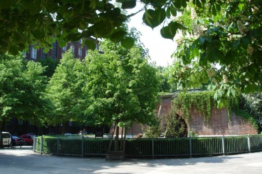 Benzwinger im Klnischen Park  Christa Junge