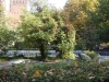 Foto © Berliner Bärenfreunde