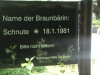© Berliner Bärenfreunde e.V.